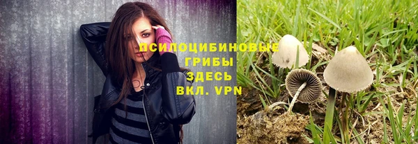 прущая мука Струнино