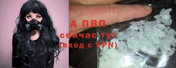 стафф Абдулино
