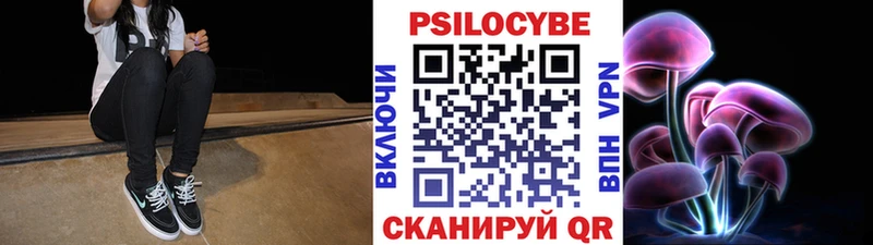 Галлюциногенные грибы Psilocybe  где можно купить   Абдулино 
